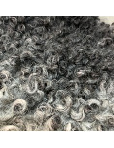 Gotland Schaffell Gena kurze Haare