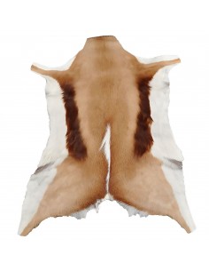 Springbockfell sorte 2