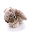 Hase Mummel klein