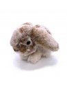 Hase Mummel klein