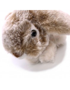 Hase Mummel klein