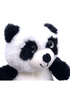 Panda Bär 2