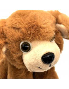 Hund Pauli sitzend 2