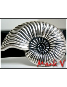 Schnalle Schneckenhaus