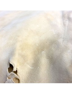 Ryffel Leder Sämisch gegerbt 10kg