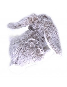 Hase Ivo klein