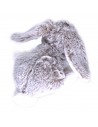 Hase Ivo klein