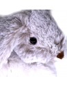 Hase Ivo klein