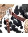 Hunde Halsband blau abgesteppt
