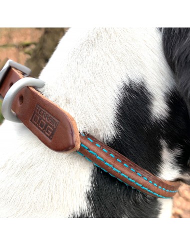 Hunde Halsband rund blau abgesteppt