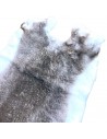 Rex Kaninchenfelle Chinchilla