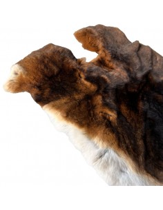 Rex Kaninchenfelle 2