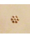 Punzierstempel Hintergrund Blume/100