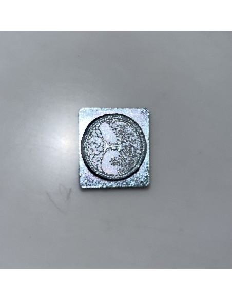 Punzierstempel 3D Lebensbaum