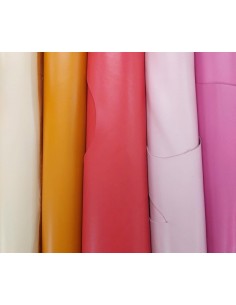 Rindsleder Riva Preise auf... 2