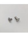 Buchschraube Art. 70110 / 70280 L10mm Linsen Kopf silber