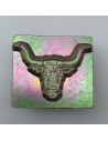 Longhorn