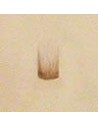 Punzierstempel Beveler