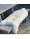 Schaffell Schweiz weiss