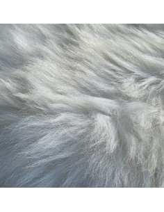 Schaffell Schweiz weiss 2