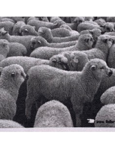 Socken Wolle anthrazit 2