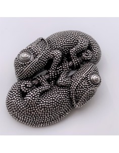 Schnalle Baby Chamäleon 2