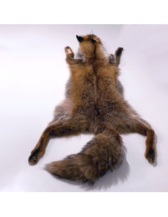 Schweizer Rotfuchsfell 2