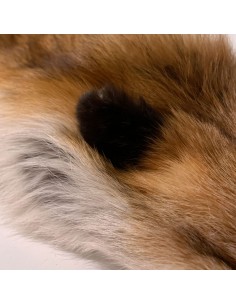 Schweizer Rotfuchsfell
