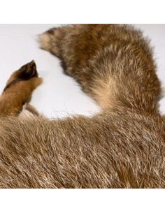 Schweizer Rotfuchsfell