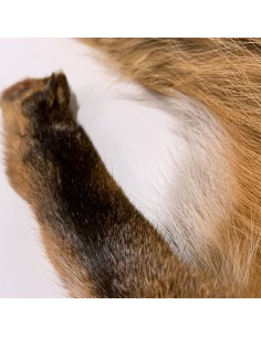Deutsches Rotfuchsfell