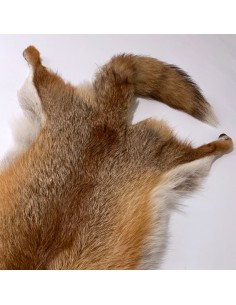 Deutsches Rotfuchsfell 2