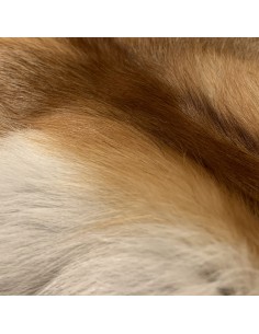 Deutsches Rotfuchsfell