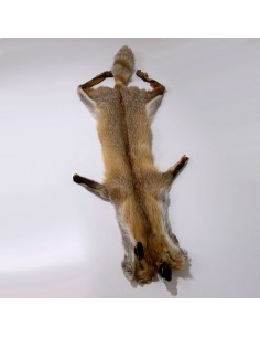 Europäisches Rotfuchsfell 2