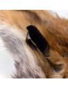 Europäisches Rotfuchsfell
