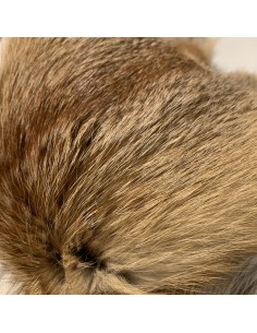 Europäisches Rotfuchsfell