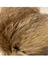Europäisches Rotfuchsfell