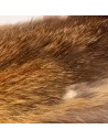 Europäisches Rotfuchsfell