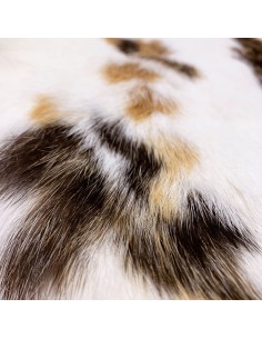 Kaninchenfell Deutschland 2