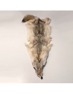 Coyotenfell