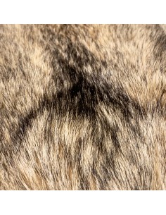 Coyotenfell