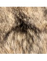 Coyotenfell