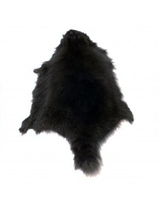 Waschbär Fell