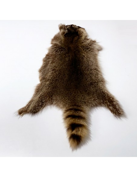 Waschbär Fell