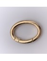 Karabiner Oval