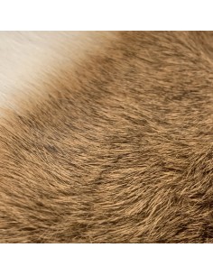 Kaninchenfelle Naturfarben 2