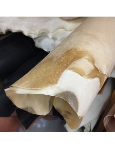 Rohhaut Ziege Pergament 2