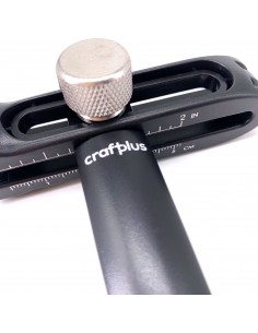 Riemenschneider fein 2